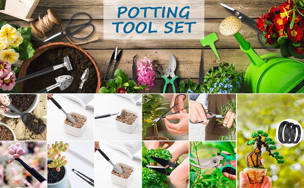DEWINNER Bonsai Tools,22-Piece Gardening Tools Set, Bonsai Scissors, Bonsai Wire, Tweezers, Gardening Gloves - Bonsai Starter Tools Set for Bonsai Beginners